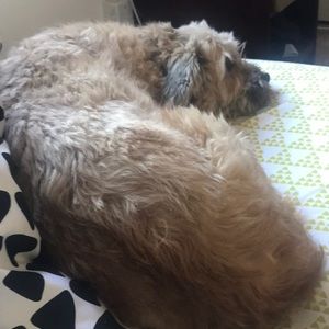 Meet your Posher, Jenny